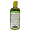 Hollywood Beauty Olive Oil ScalpTreatment, 8 oz (Pack of 4)