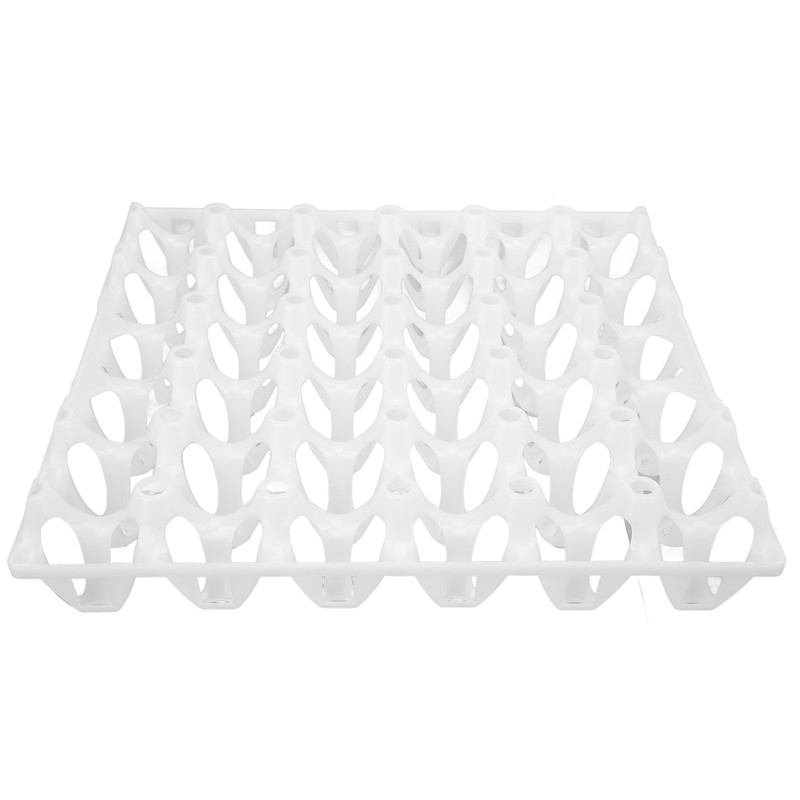 Eggshell and Egg Tray Model Safe Prevent Leakage Eggs Making