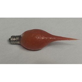 On The Bright Side - Scented Silicone Light Bulb - Pack of 3 - Maple Syrup