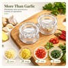 2PCS Clear Garlic Crusher, Manual Garlic Crusher and Ginger Mincer