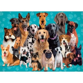 500 Piece Puzzles for Adults Pet Dogs 20.5 x 15 Inch 500 Piece Jigsaw Puzzles for Kids Adults Puzzles 500 Pieces for Adults Holiday Educational Challenge Toy