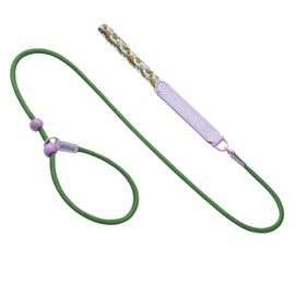 Dog Leash with Integrated Collar and Lead, P-Shaped Leash for Training, Training, Small Dogs, Medium Dogs, Large Dogs, Collars, Pets, Pet Goods, Dogs (Green)