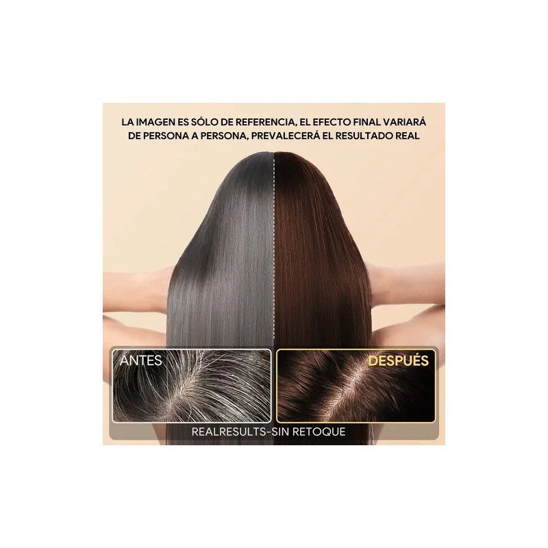 Shampoo Con Aceite De Argán Tinte Cubre Canas-marrón Oscuro