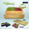 Self Watering Microgreens Growing Kit. Hands Down The Easiest Way