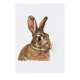 'Brown Bunny Rabbit' Temporary Tattoo - Water Resistant, Skin-Safe, Non-Toxic Transfer (TO00077131)