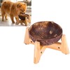 Dog Bowl for Cats and Small Dogs - All-Natural, Polished