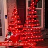 QITONG 4 Pack Solar Fairy Lights, Each 33ft 100 LED