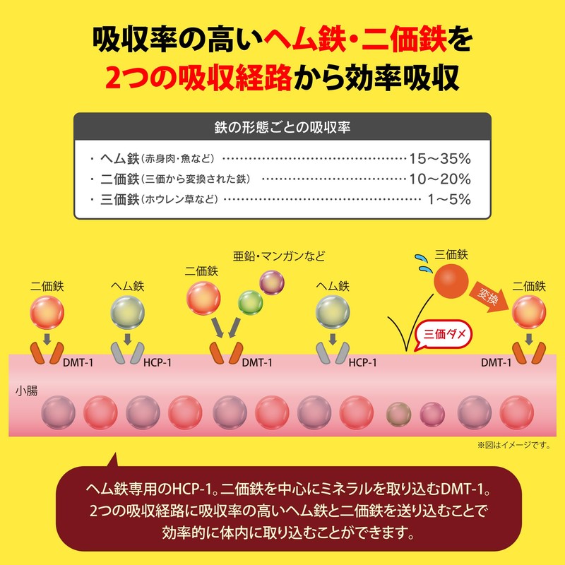 ヘム鉄・二価鉄・亜鉛 バランスミネラル【90粒入】3袋「女性・成長期・アスリート・シルバー世代」「栄養のプロがプロデュース」