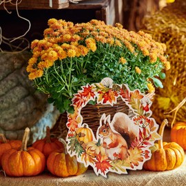 Logbuch-Verlag Autumn Decorative Wooden Door Wreath Squirrel Autumn Leaves Decorative Wreath Autumn Decoration for Hanging Diameter 29.5 cm