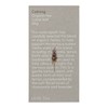 Love Tea Calming Loose Leaf Tea, 50g