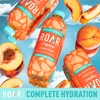 ROAR Complete Hydration Organic - Electrolyte Drinks Loaded with Vitamins
