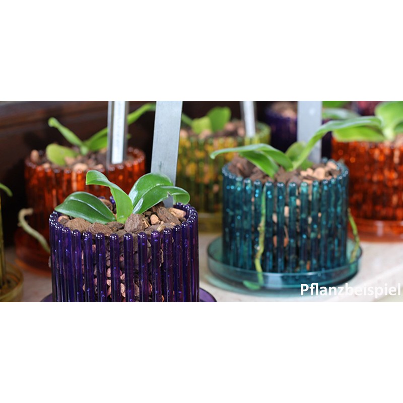 Orchitop S Set - Design Orchid Pot with Saucer for