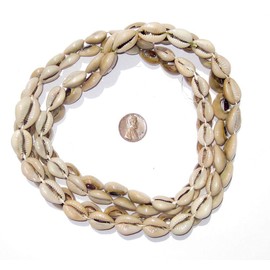 TheBeadChest Kenyan Cowrie Shell Beads 15mm West Africa African White Unusual 30 Inch Strand Handmade