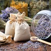 Treela 3 Pound Dried Lavender Bulk Dry Lavender Buds Fragrant