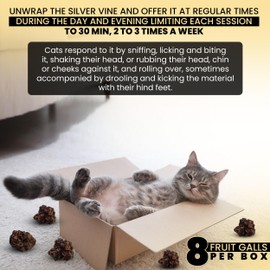 SPRING VIBES More Than Catnip - Highest Potency, Best Luxurious Cat Toy Present, MESS FREE, 100% Natural