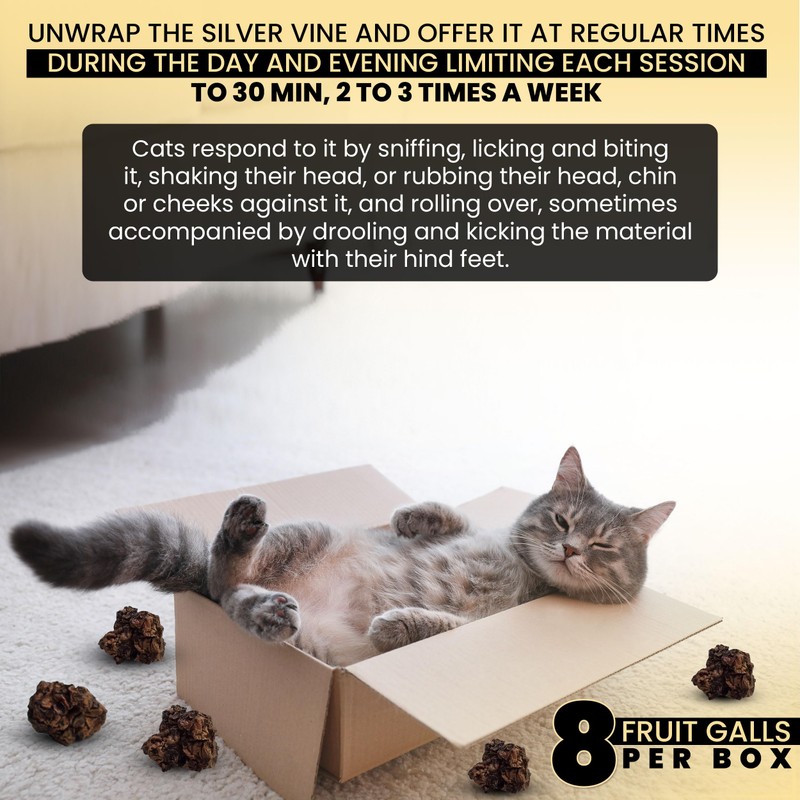 SPRING VIBES More Than Catnip - Highest Potency, Best Luxurious