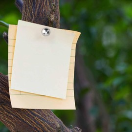 1000pcs Drawing Pins, SYPHIHY Silver Iron Thumb Tacks Brass Head Push Pins Round Nails Pins for Crafts Home Office or DIY (9.5mm)