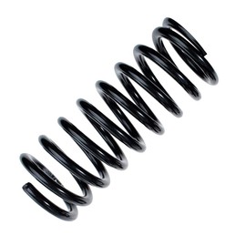Eibach coil spring rear R10360