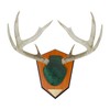 Allen Company Hunting Trophy Antler Mounting Kit, Green Skull Cover