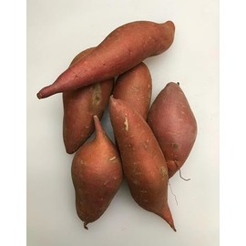 Generic Fresh Sweet Potatoes Yams, USA Grown, NON-GMO, Bulk (10 Pounds)