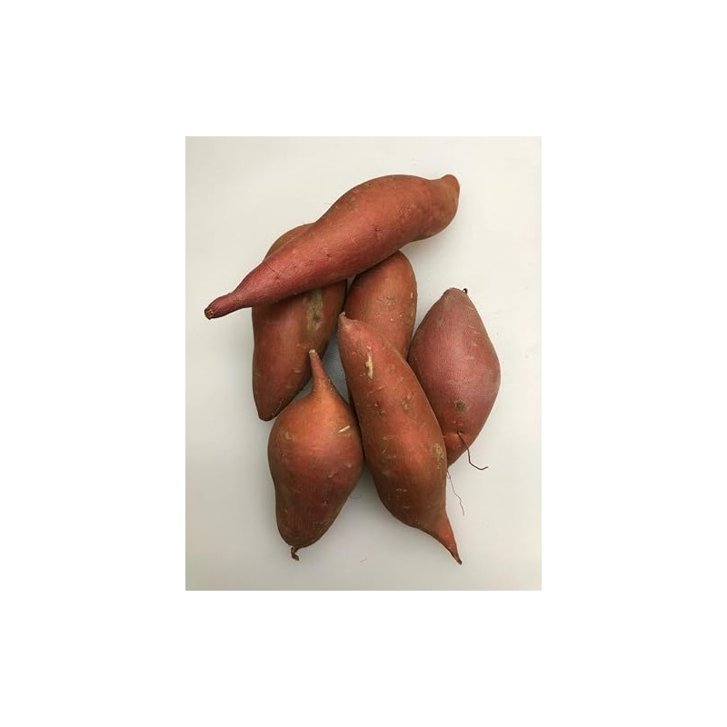 Generic Fresh Sweet Potatoes Yams, USA Grown, NON-GMO, Bulk (10