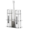 Stainless Steel Condiment Seasoning Container Pots Set with Spice Rack