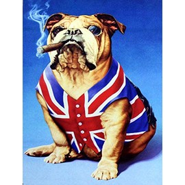 Shawprint Bulldog Union Jack British, Retro Metal Fridge Magnet, 100mm x 75mm, Novelty Gift