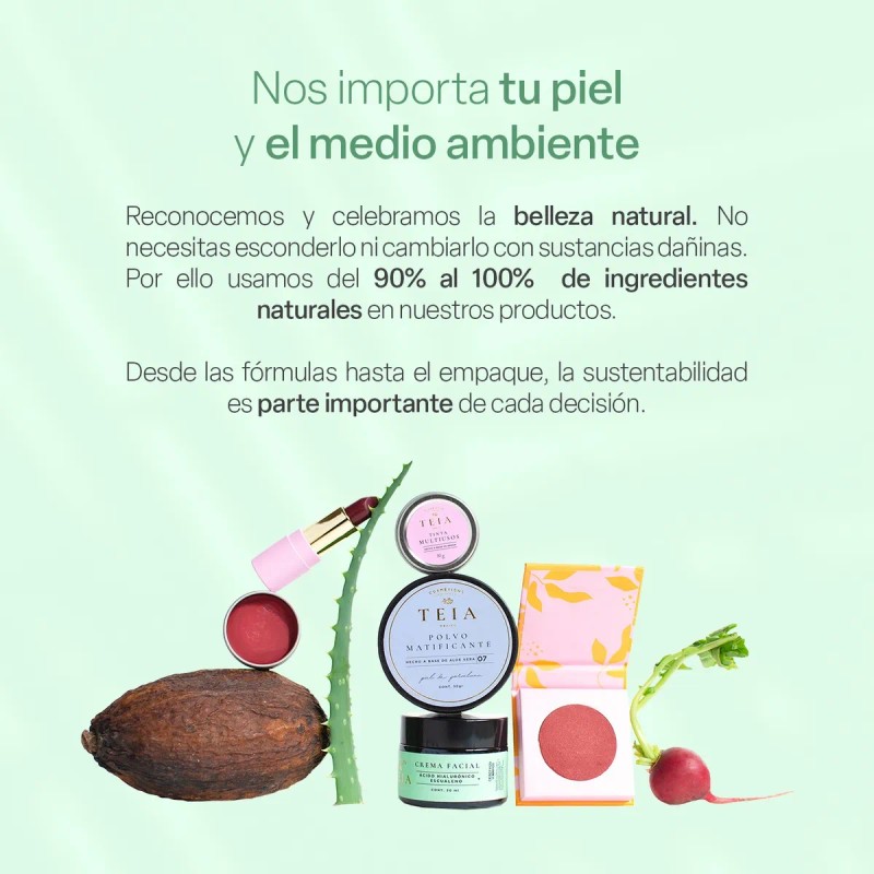 Protector Solar En Polvo Fps 30 100% Mineral Teia Cosméticos