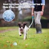 Feixun Dog Glow Ball Toy, Dog Toy Ball Glow in