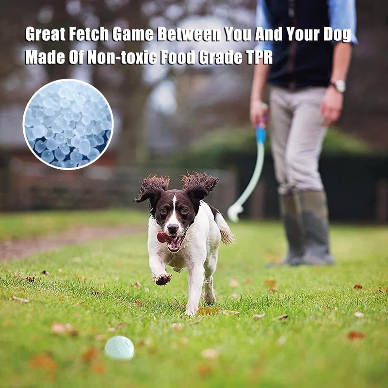 Feixun Dog Glow Ball Toy, Dog Toy Ball Glow in