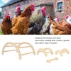 Chick Perch Paw Grinding Stable Structure Arch Shape Wooden Chicken