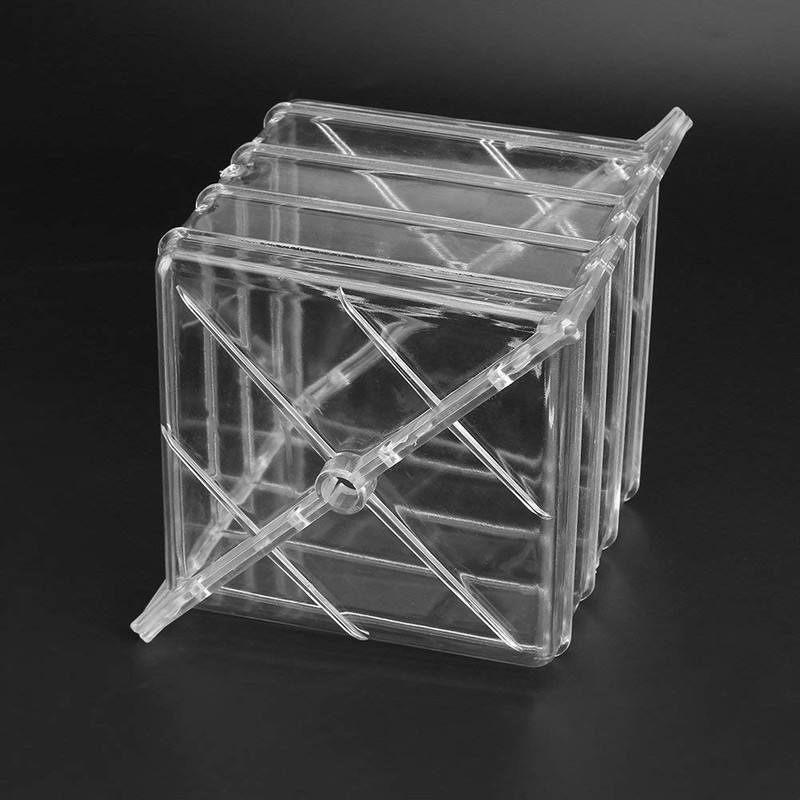 Growing Fruit, Watermelon Pumpkin Shaping, Garden Fruit Growth Forming Tool