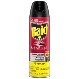 Raid 6 Cans Raid Ant & Roach Killer 26 Lemon Scent Spray Cans 17.5 oz (6-pack)