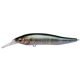 Megabass X-NANAHAN (X Nanahan+1) Japanese Silver Dace P1
