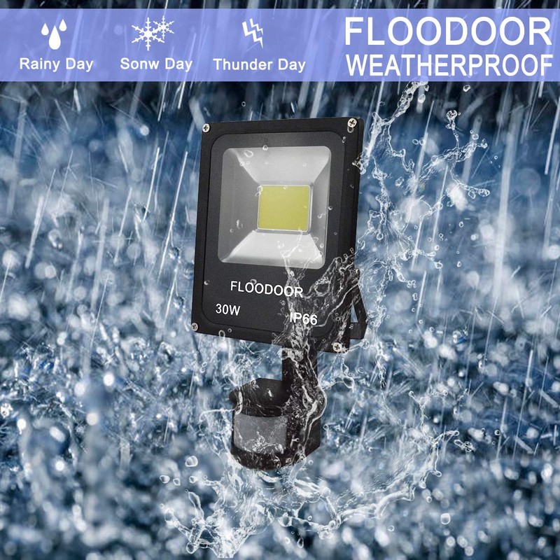 FLOODOOR 30W LED Motion Sensor Light Outdoor Safety Waterproof 12-24V
