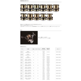 Daiwa Slpw EX lt4000d SPL