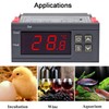 Greluma 1 Piece AC 110V-220V 10A Digital Temperature Controller Digital