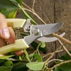 Pruning Shears for Gardening, Garden Scissors Pruners for Flowers Buds