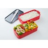Skater YZW3AG-A 2-Tier Lunch Box, 20.3 fl oz (600 ml),