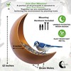 Fence & Tree Mounted Moon Bird Feeder – Cardinal, Squirrel