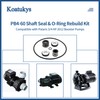 Koatukys PB4-60 Booster Pump Shaft Seal & O-ring Rebuild Kit