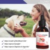 Aonai 2pcs Multivitamin Liquid drops for Dogs | Joint Support,