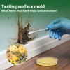 Mold Test Kit for Home - 6 Simple Mold Test
