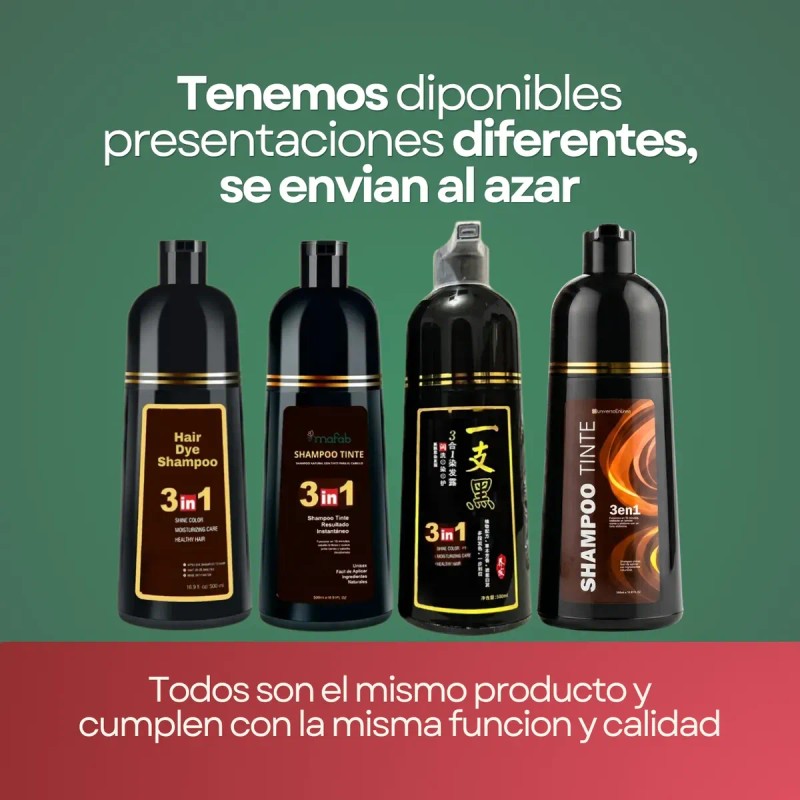 Pzas Shampoo Tinte Cubre Canas Natural Jengibre 500ml