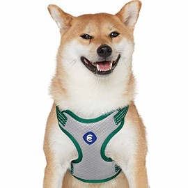 Blueberry Pet Essentials Back to Basics Reflective Dog Harness Vest, Dark Green, Large, Adjustable Harnesses for Dogs