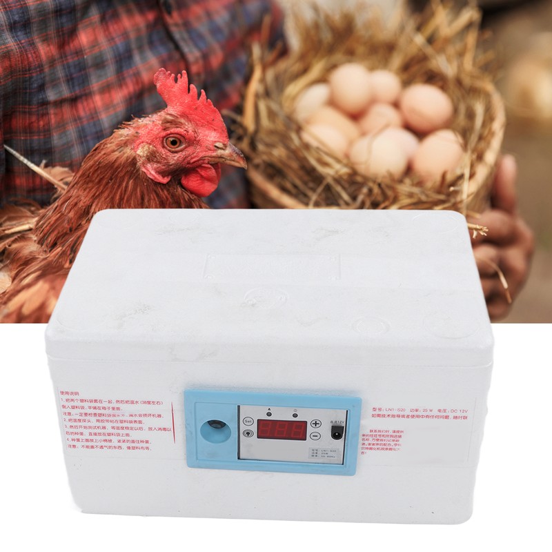 Egg Incubator Small Multifunctional Household Chicken Incubator for Hatching Chick