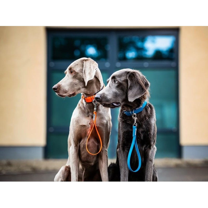 Kurzführer Biothane Dog Lead Biothane 9 mm / 13 mm