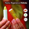Pack x 3 Organic lip balm 5 g each. Lip