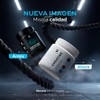 B Life Creatina Monohidratada en Polvo de Alta Pureza 310