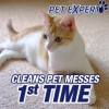 Resolve Pet Expert Carpet Stain Cleaner Solution and Odor Remover